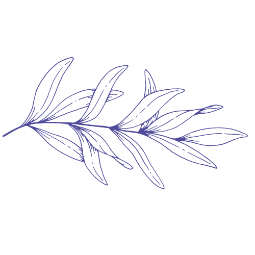 Decorative leaf outline