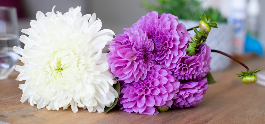 White and purple flowers on table