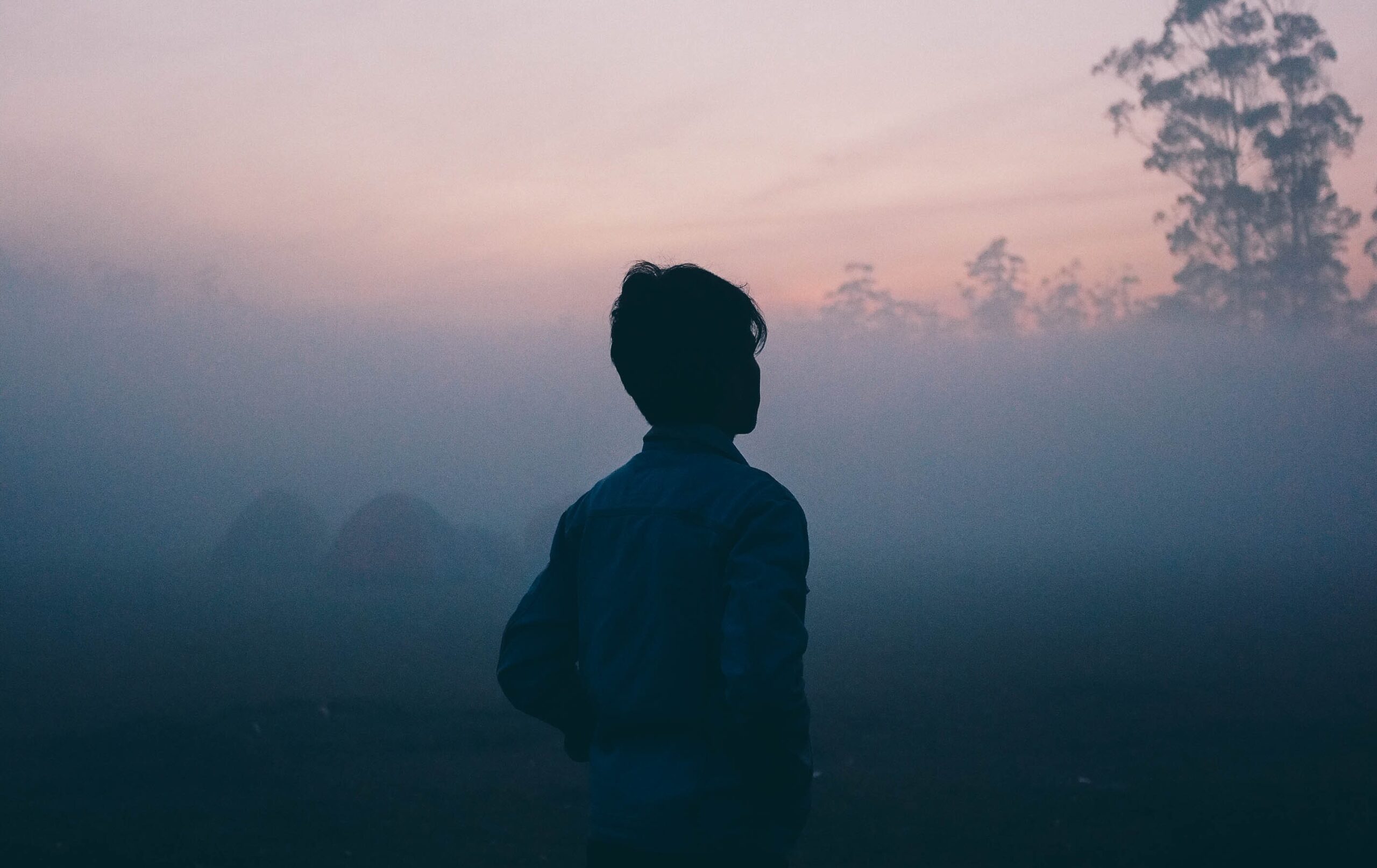 Backside of a person's silhouette with a foggy dark sunset in the background